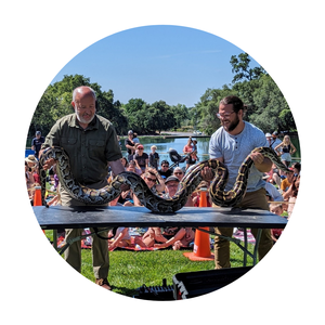 EDH - Wild Things An